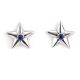 SILVER & LAPIS STAR EARRINGS BY MILDRED PARKHURST (NAVAJO)