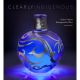 CLEARLY INDIGENOUS: NATIVE VISIONS REIMAGINED IN GLASS BY LETICIA CHAMBERS