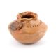 HORNED LIZARD POTTERY BOWL BY LARRISENA MANYGOATS (NAVAJO)